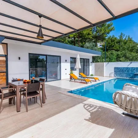 Eyfel Luxury With Private Pool Vilă *